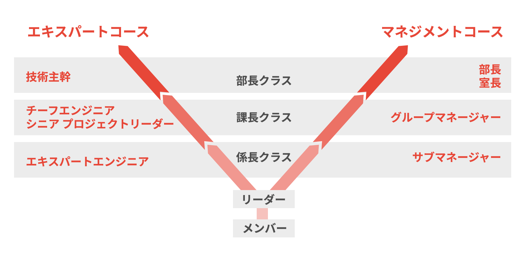 キャリアパス制度 図